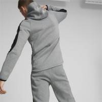 Puma Evostripe Full-Zip Hoodie Ανδρική ζακέτα με κουκούλα - 849915-03