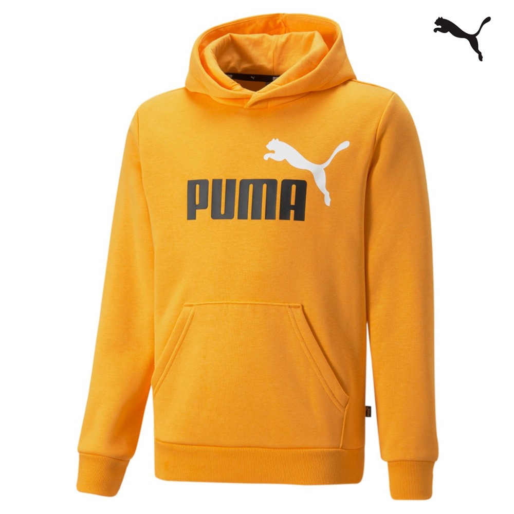 Puma ESS+ 2 Col Big Logo Hoodie FL Παιδική Φούτερ με κουκούλα -  586987-39