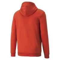Puma ESS Big Logo Hoodie FL (s) Ανδρική φούτερ με κουκούλα - 586687-33