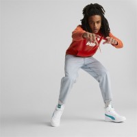 Puma ESS Big Logo Hoodie FL (s) Ανδρική φούτερ με κουκούλα - 586687-33