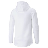 Puma Evostripe Hoodie Ανδρική φούτερ με κουκούλα - 849914-02