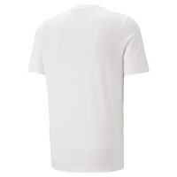Puma Graphics Icon Ανδρικό T-shirt με Στάμπα - 674476-02