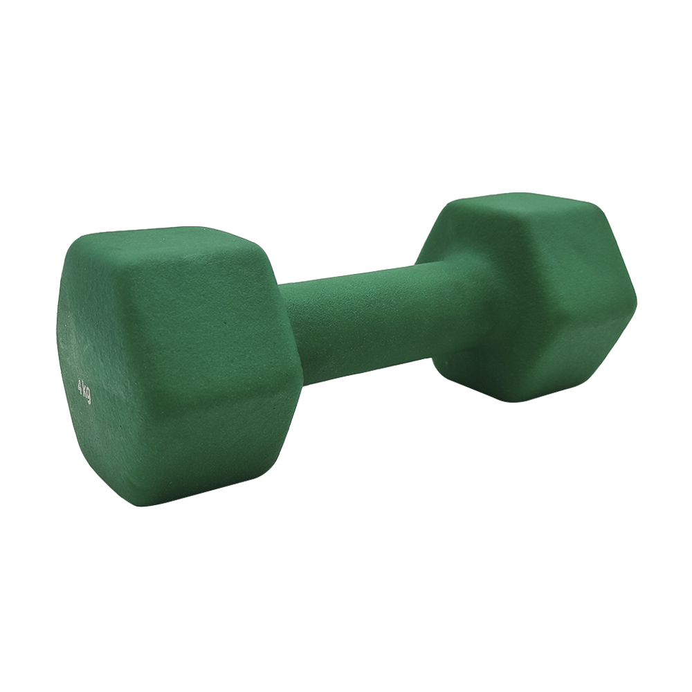 LIGASPORT Vinyl Dumbbell Αλτήρας Βινυλίου 4kg (Green)