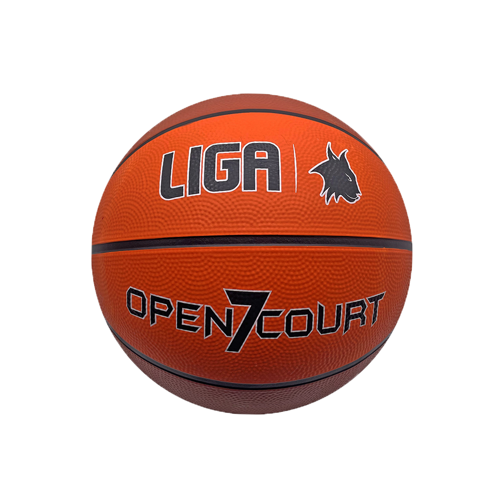 LIGASPORT Basketball Open Court (7)