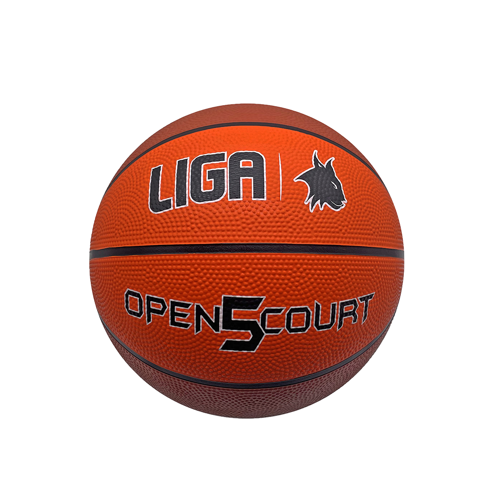 LIGASPORT Basketball Open Court (5)