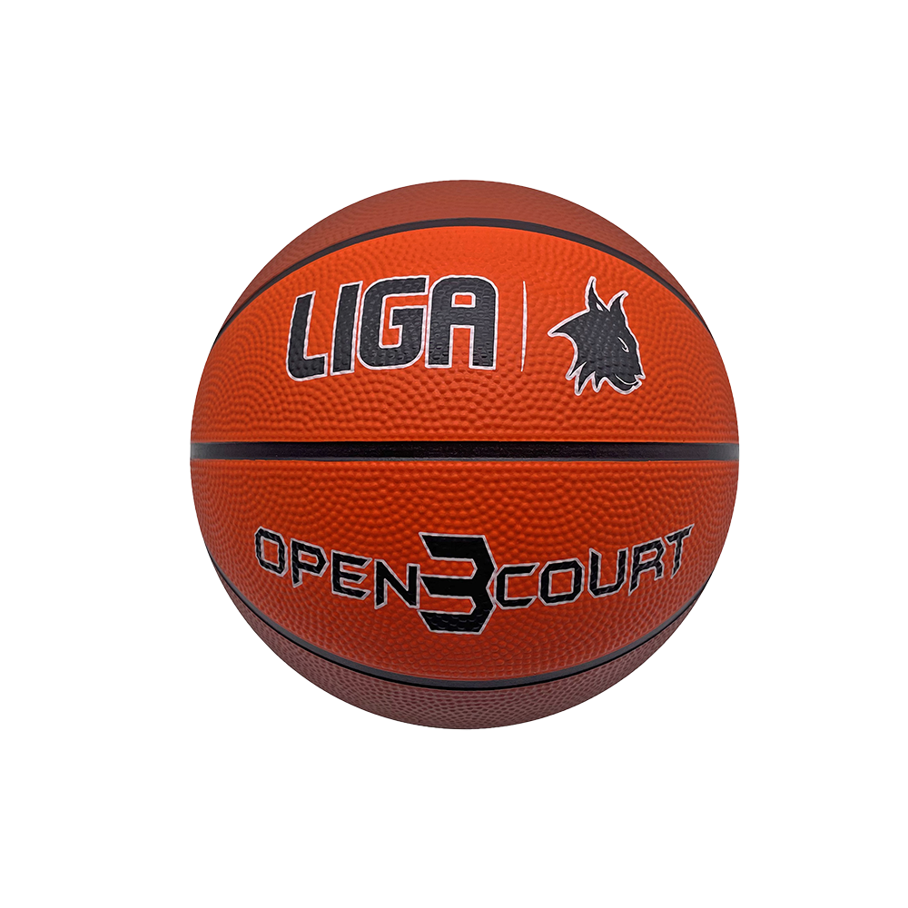 LIGASPORT Basketball Open Court (3)