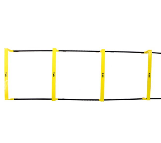 LIGASPORT Step Hardle Ladder-10 Rungs