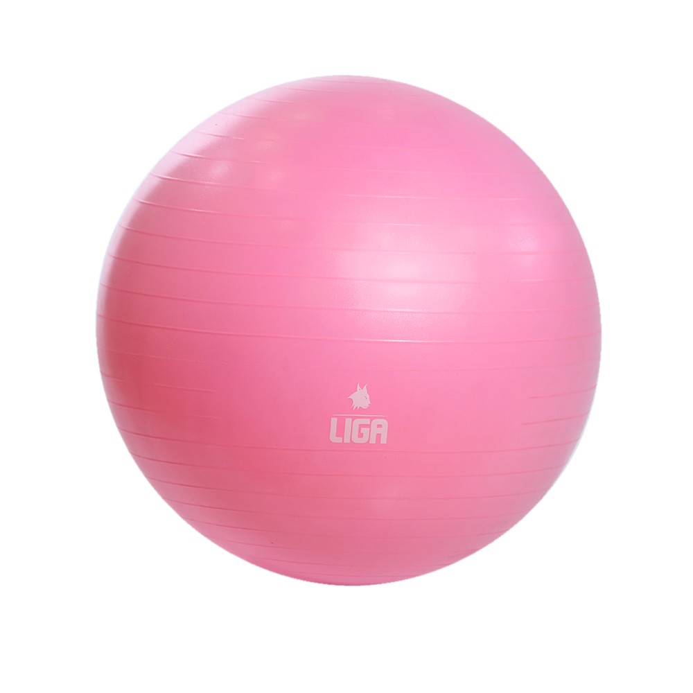 LIGASPORT Μπάλα γυμναστικής 65cm (Pink)