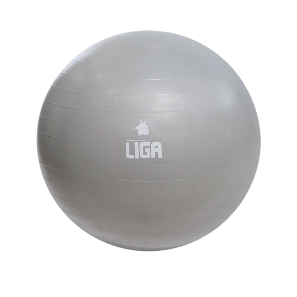 LIGASPORT Μπάλα γυμναστικής 65cm (Grey)
