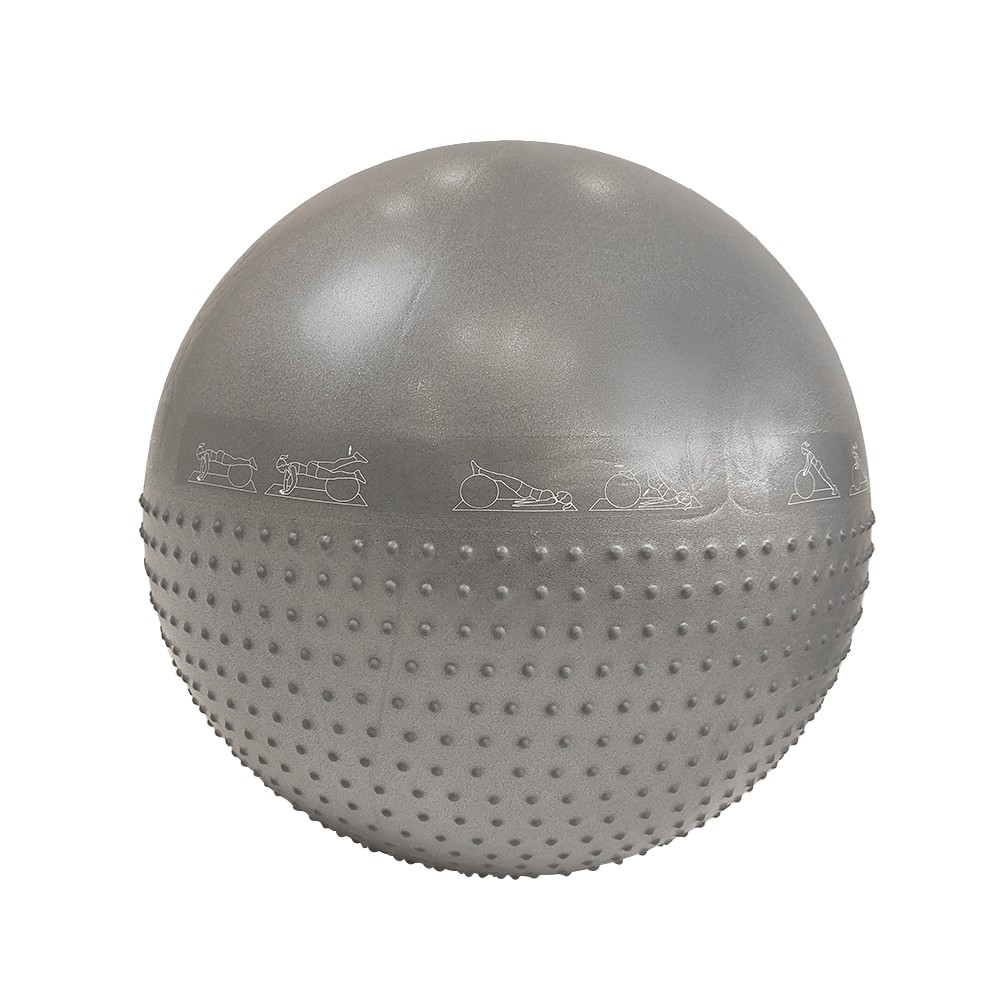 LIGASPORT Gym Ball Liga Life 65cm (Grey)