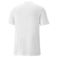Puma Ανδρικό κοντομάνικο T-shirt GRAPHICS Wave Tee - 674483-02