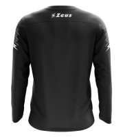 ZEUS Fenea Enea