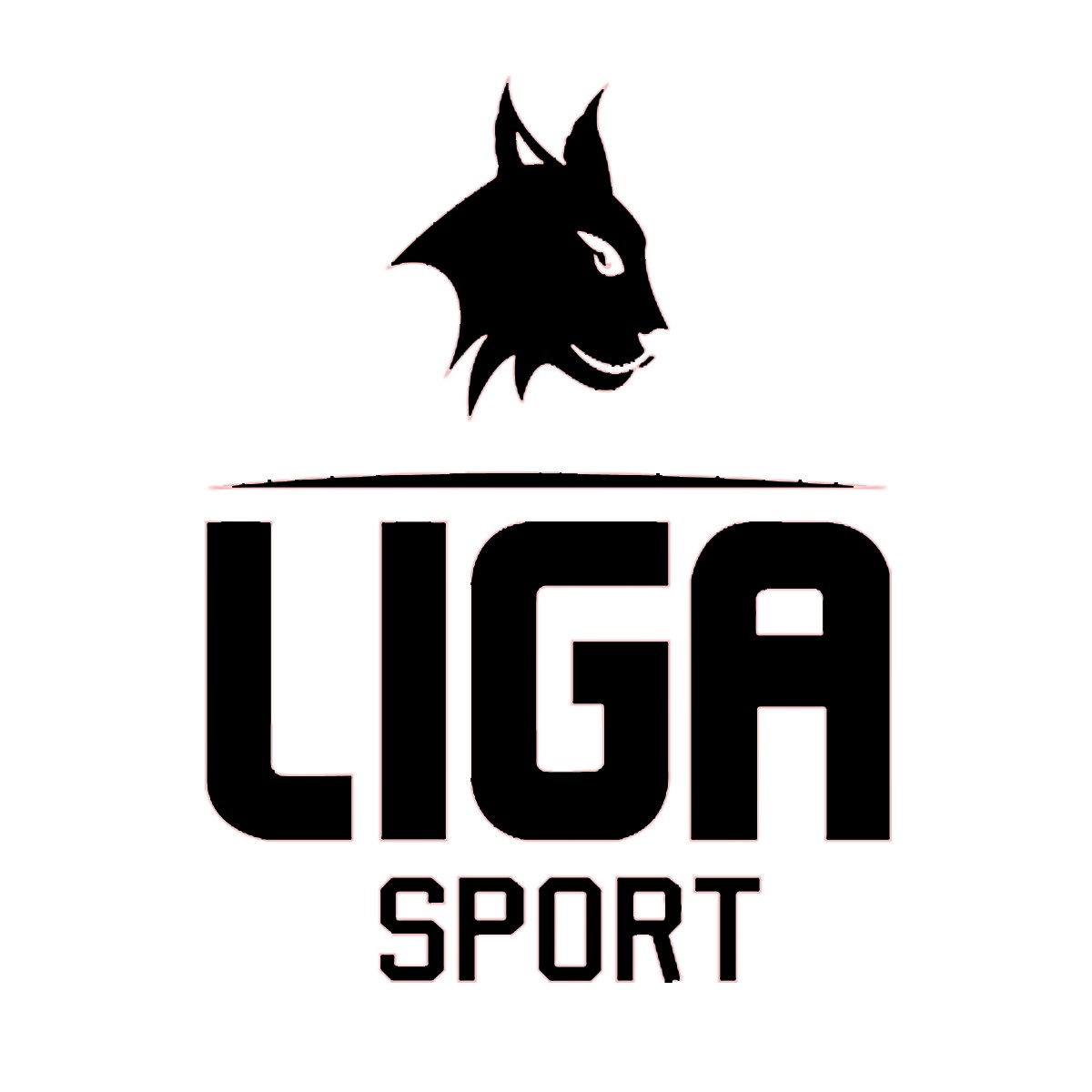 LIGASPORT