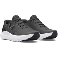 UA BGS Surge 4