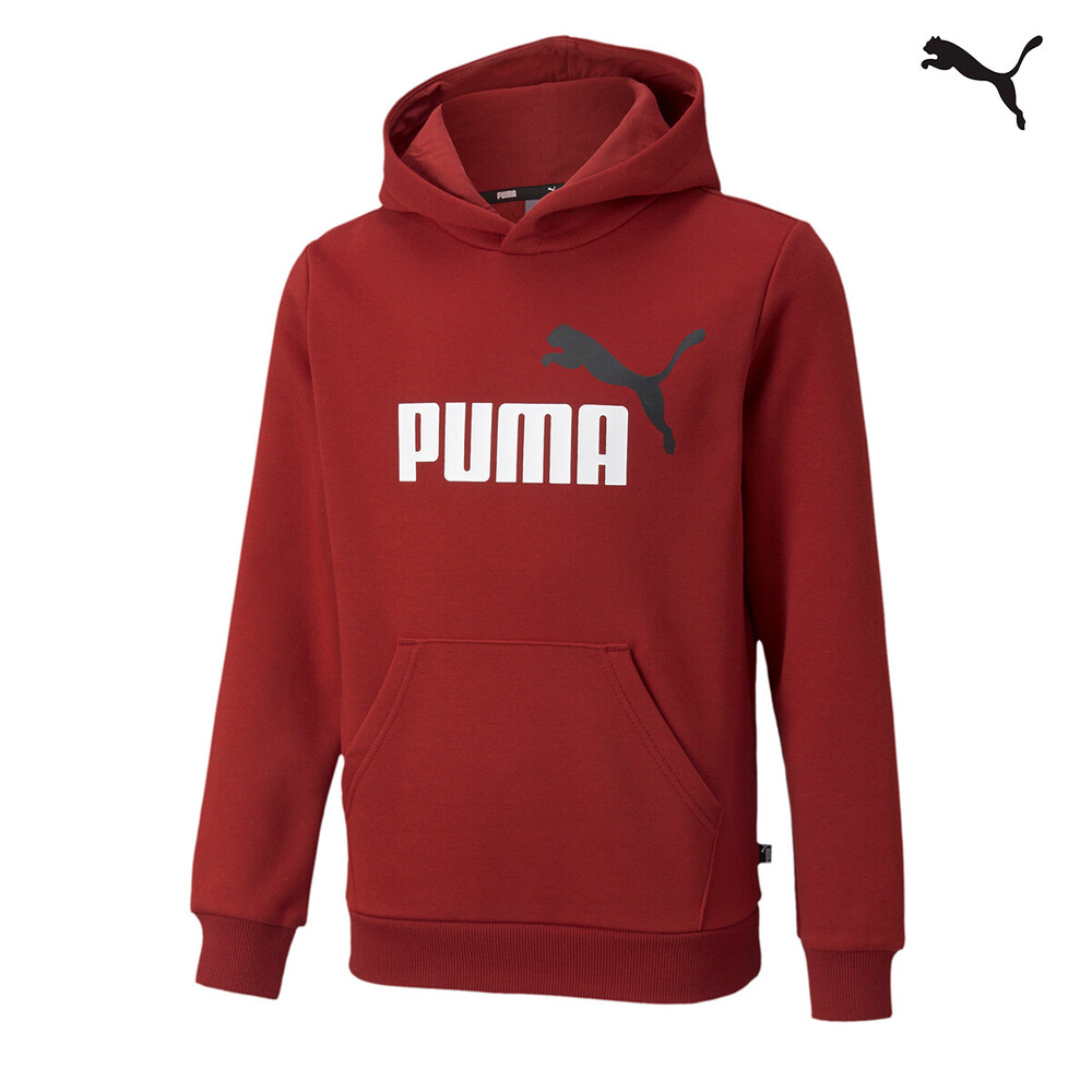 Puma Παιδική Φούτερ με κουκούλα ESS+ 2 Col Big Logo Hoodie FL -  586987-22