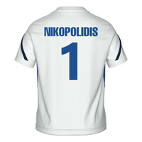 ΣΥΛΛΕΚΤΙΚΗ  ΦΑΝΕΛΑ  LEGENDS   2004