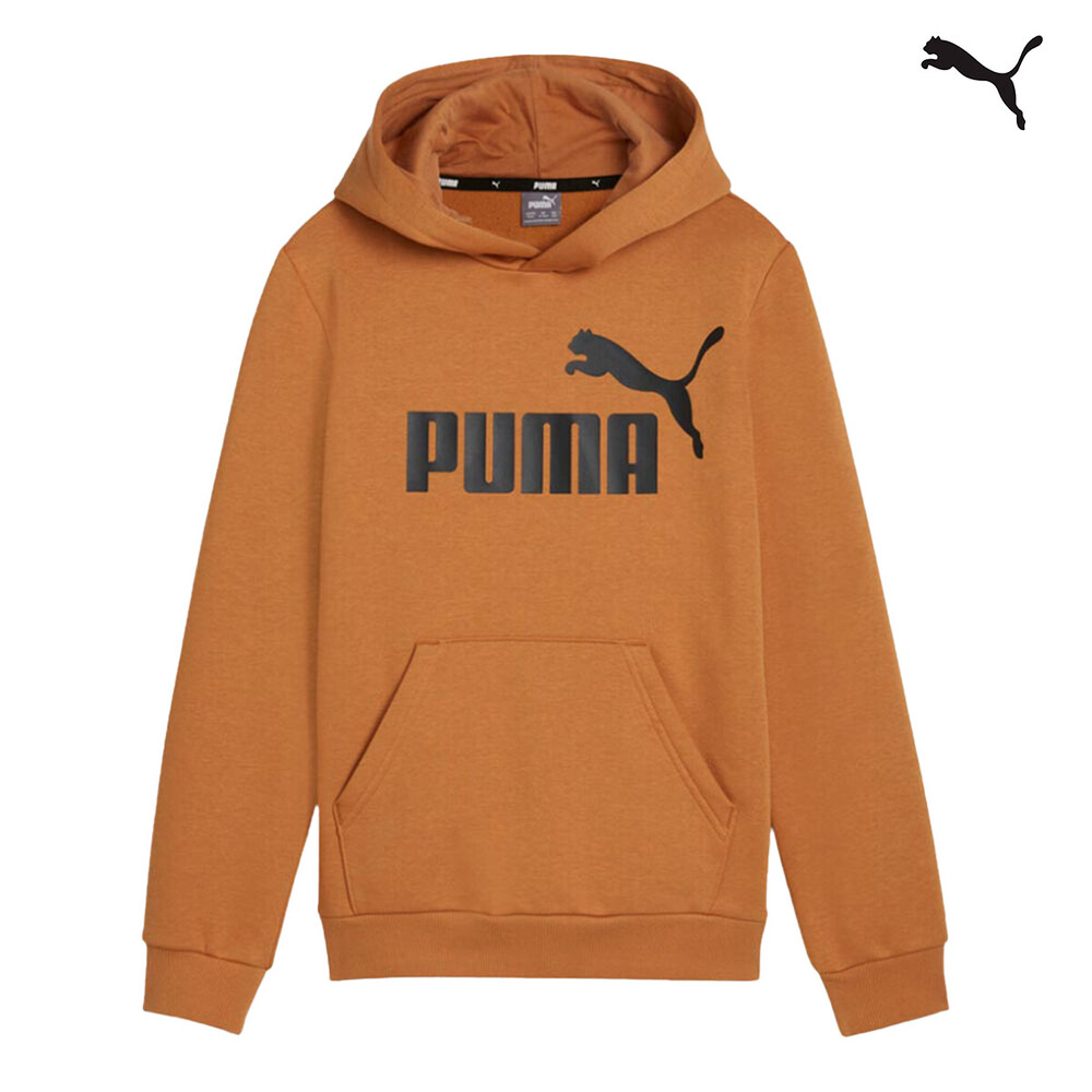 586965 ESS Big Logo Hoodie FL B ΦΟΥΤΕΡ PUMA