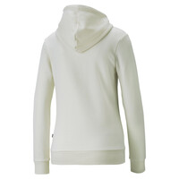Puma ESS+ Embroidery Hoodie Γυναικεία Φούτερ με κουκούλα – 670004-99