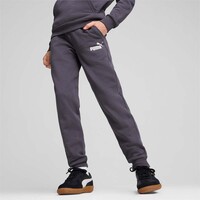 586973 ESS Logo Pants FL cl B