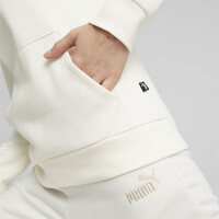 Puma ESS+ Embroidery Hoodie Γυναικεία Φούτερ με κουκούλα – 670004-99