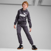 586965 ESS Big Logo Hoodie FL B
