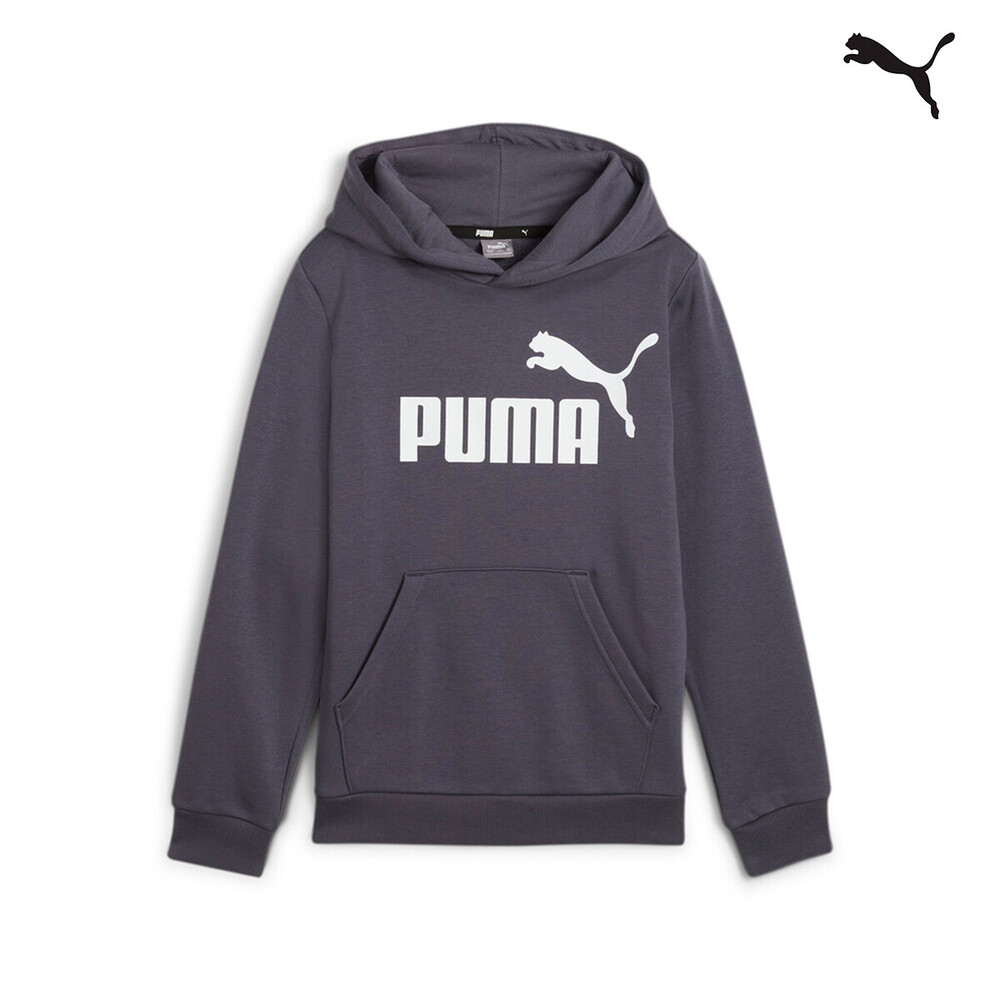 586965 ESS Big Logo Hoodie FL B