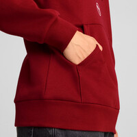 681741 PUMA POWER Graphic Hoodie FL ΦΟΥΤΕΡ PUMA