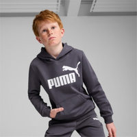 586965 ESS Big Logo Hoodie FL B