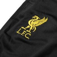 Liverpool Training Trousers Dri-FIT Strike