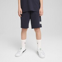 684918 ESS No. 1 Logo Shorts TR B ΣΟΡΤ PUMA