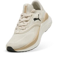 310160   Softride Mayve Wn's ΥΠΟΔΗΜΑ RUNNING SNEAKERS   PUMA